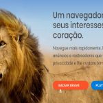 Instalação do MetaMask no Navegador Brave