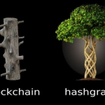 O que é Hashgraph