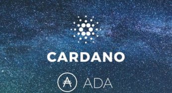 Cardano – parcerias do projeto