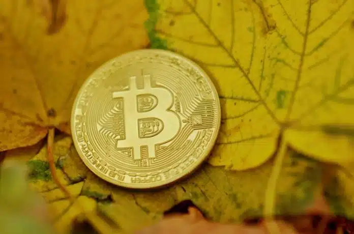 Bitcoin se aproxima de perder a dominância do mercado