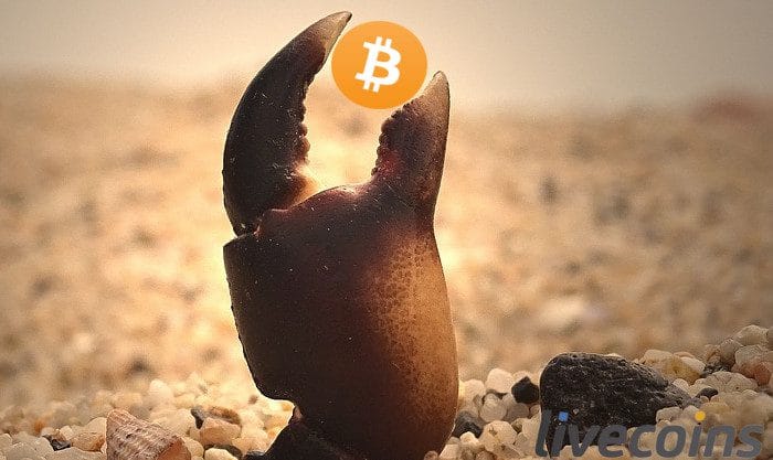 Bitcoin igual caranguejo e altcoins em mares agitados