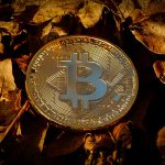 Bitcoin é vendido a preço de banana