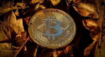Bitcoin é vendido por apenas R$ 290,00 após terrível erro em exchange