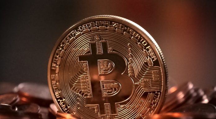 Mais maximalistas de Bitcoin surgem a cada dia