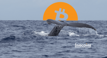 Baleias de Bitcoin estão acumulando como nunca