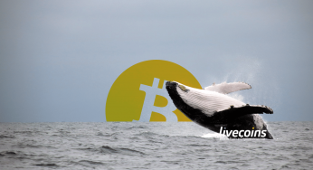 Famosa baleia do Bitcoin acredita que Halving já está precificado