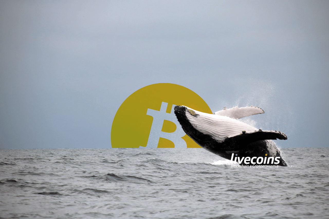 Baleia de Bitcoin