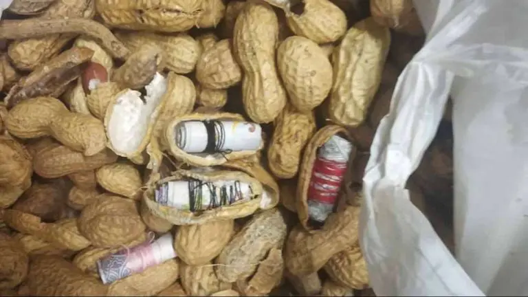 Homem é preso em aeroporto com mais de R$ 268 mil escondidos em carne cozida, biscoitos e amendoins