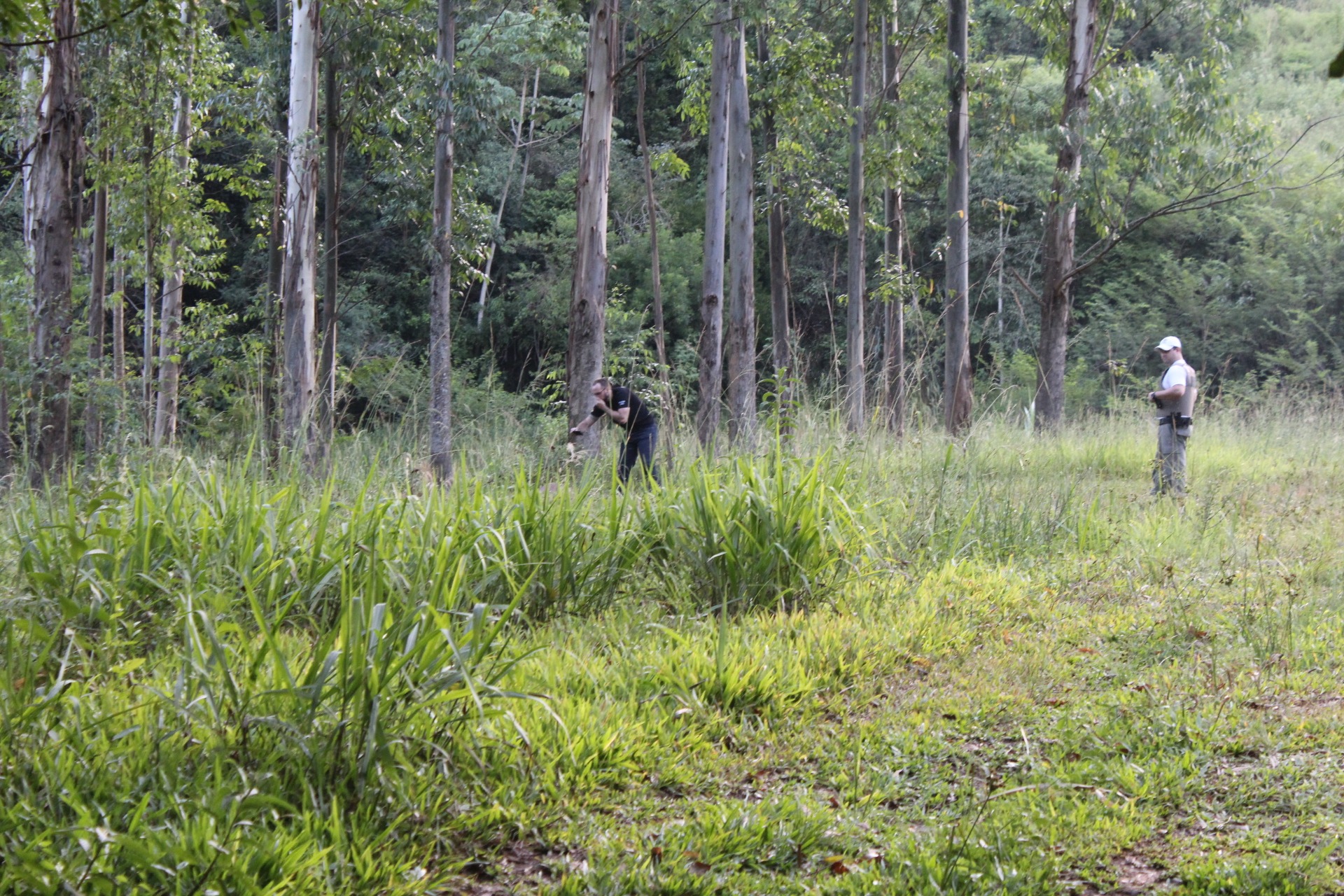 Corpo de líder da D9 é encontrado em matagal de Sapiranga (RS)