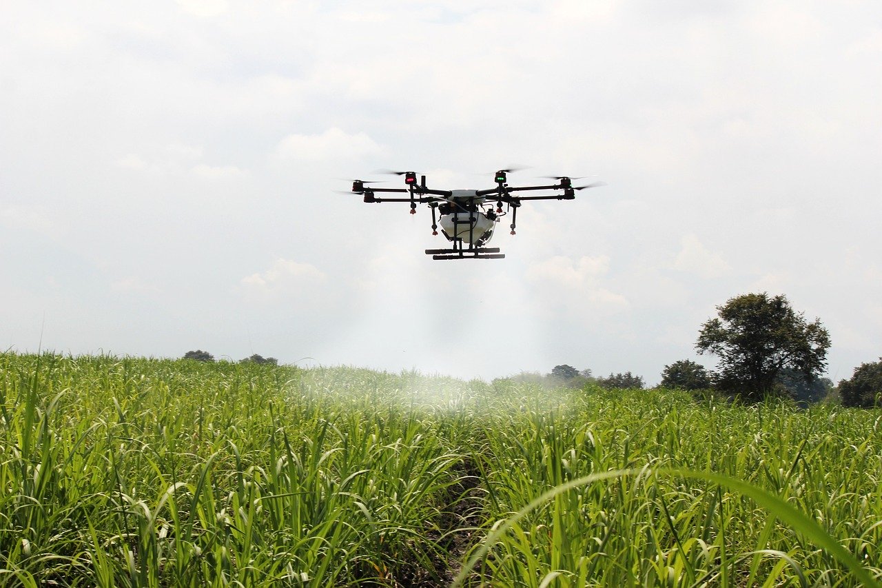 Drone aplicando veneno em lavoura de cana