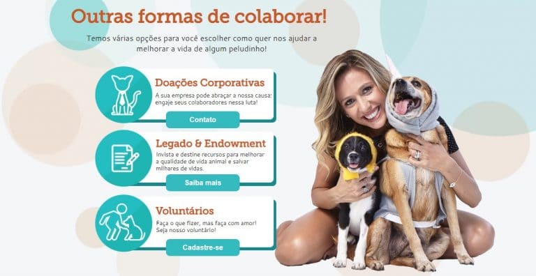 Famosa, Luisa Mell fica devendo Itaú após aceitar doação internacional, taxas absurdas