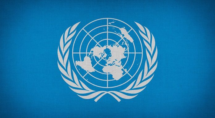 ONU (Nações Unidas, Blockchain e Bitcoin)