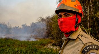 Doações de Bitcoin começam a chegar para combater queimadas no Pantanal