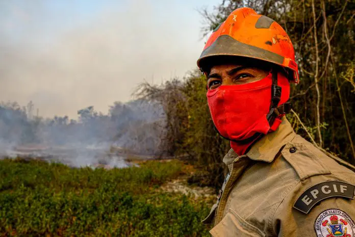 Pantanal pegando fogo queimadas bitcoin
