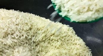“Uso moedas digitais para comprar arroz e feijão”, diz pensionista do INSS