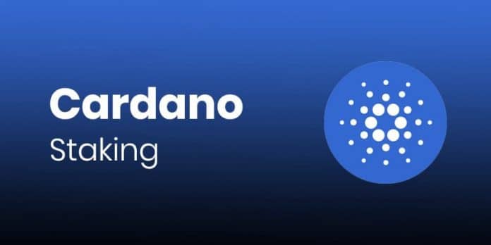 Cardano staking