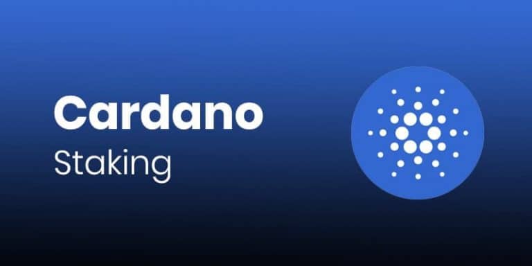 Cardano staking