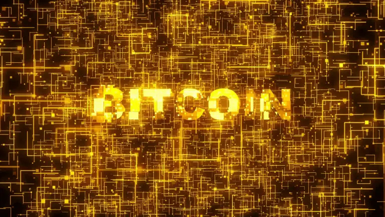 Bitcoin é o próximo passo na evolução do dinheiro, diz maior administradora de ativos digitais