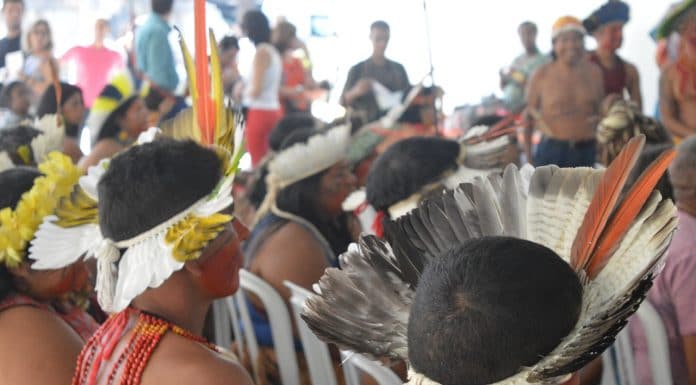 tribos de povos indígenas lançam uma criptomoeda