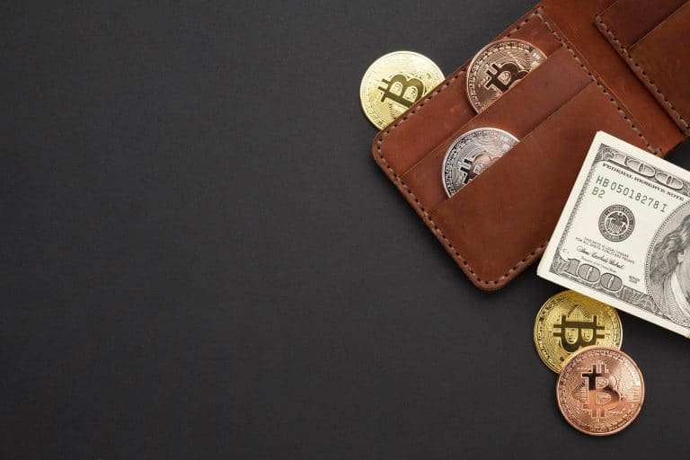 Carteira de criptomoedas com Bitcoin guardar