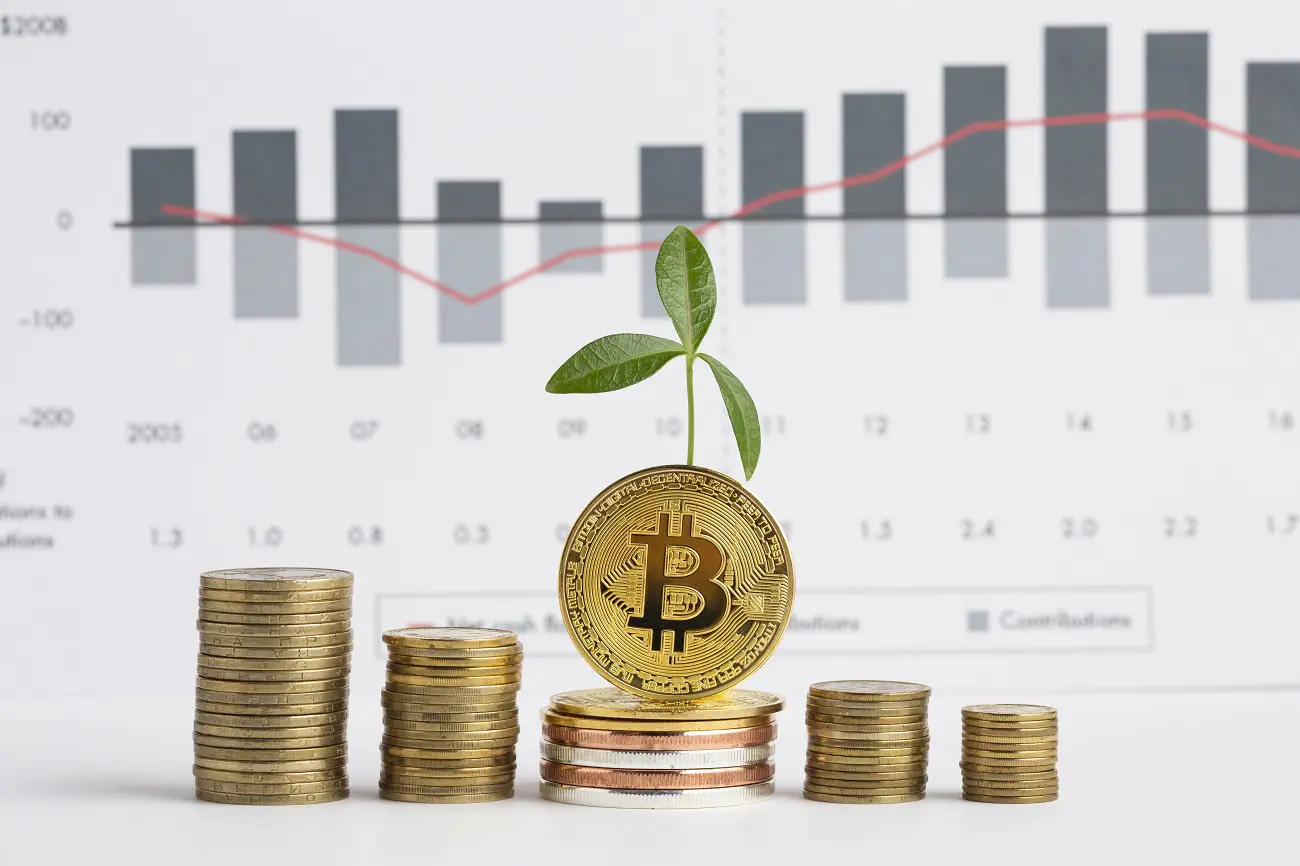 Rentabilidade diária do Bitcoin em 2020 foi de 0,38%, a 5ª maior da história  - Livecoins