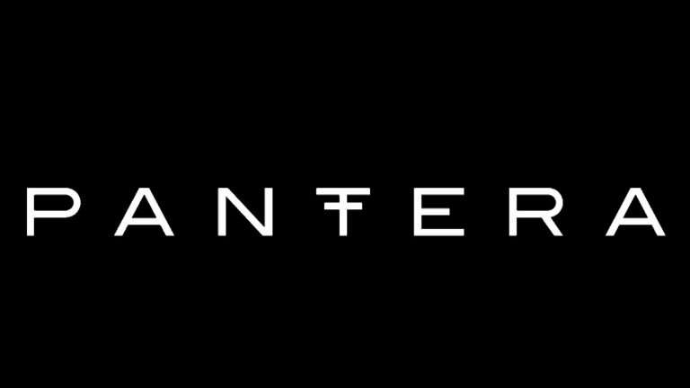 Este é o maior risco para o mercado de criptomoedas, de acordo com o CIO da Pantera Capital