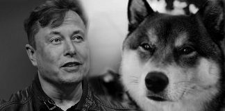 Elon Musk e Shiba Inu, cachorro símbolo da Dogecoin