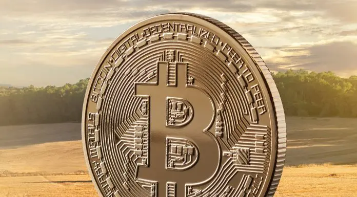 Moeda Bitcoin no campo blockchain agronegócio
