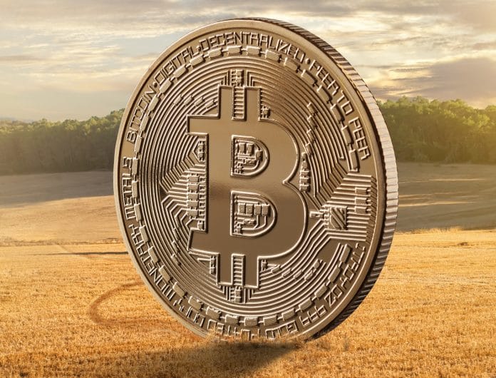 Moeda Bitcoin no campo blockchain agronegócio