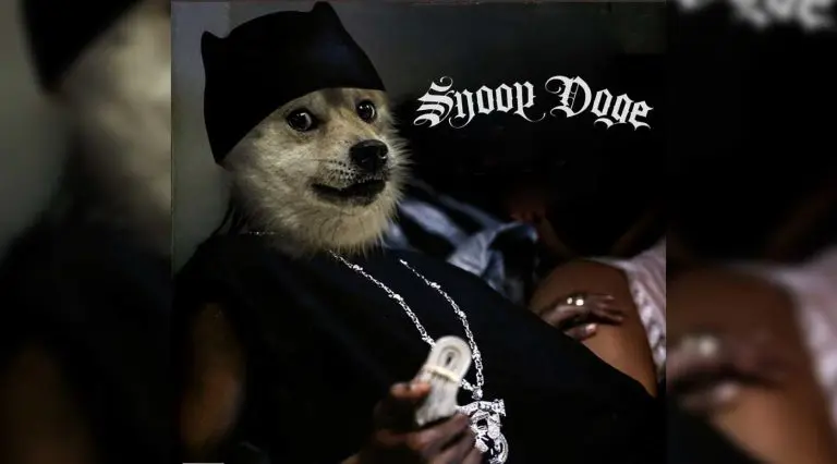 Snoop Dogg tuíta sobre Dogecoin e preço sobe 25%