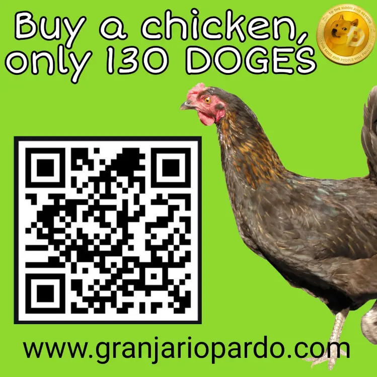 Granja que vende galinha caipira aceita dogecoin como pagamento.