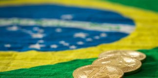 Bitcoin Brasil
