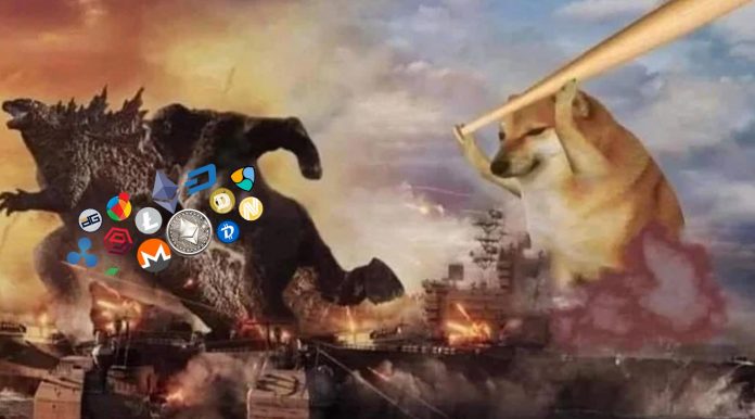 Meme dogecoin que circula nas redes.
