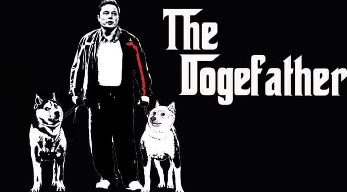 The DogeFather Dogecoin e Elon Musk