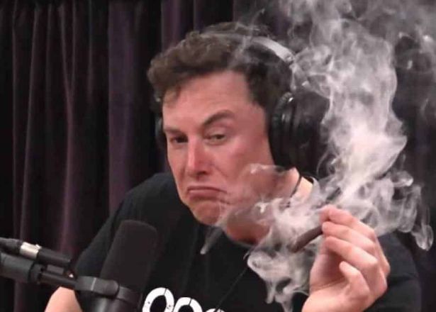 Elon Musk fumando maconha