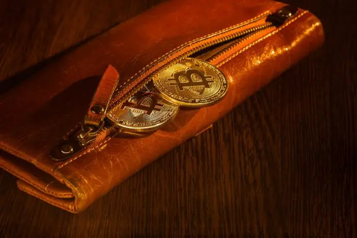 Bitcoin dentro de uma carteira