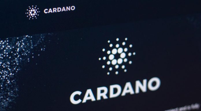 Cardano. Imagem: Abode Stock