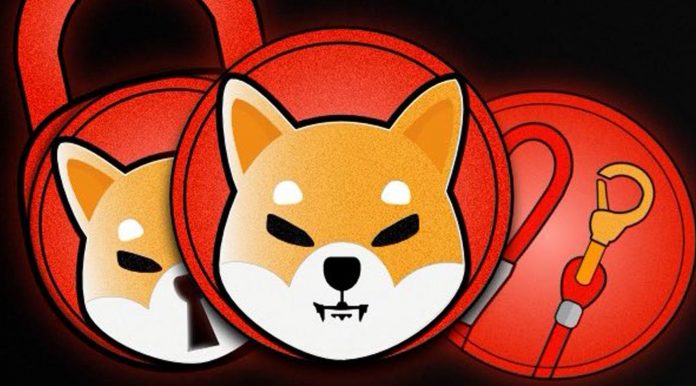 SHIBA-INU