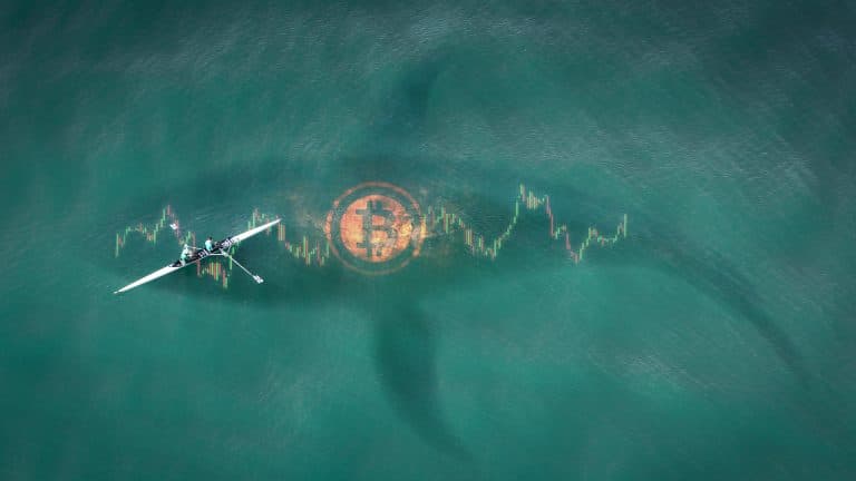 Baleia do Bitcoin preço e cotação queda e alta