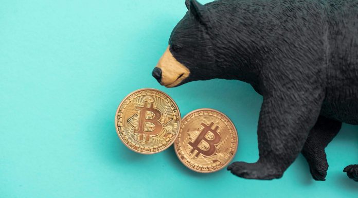 Bear Market Bitcoin. Imagem: Shutter Stock