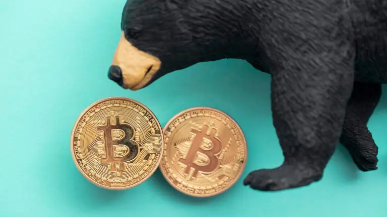 Grande urso de Bitcoin hater pessimista ódio contra