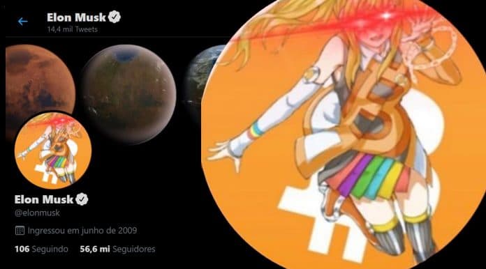 Elon Musk foto perfil Bitcoin