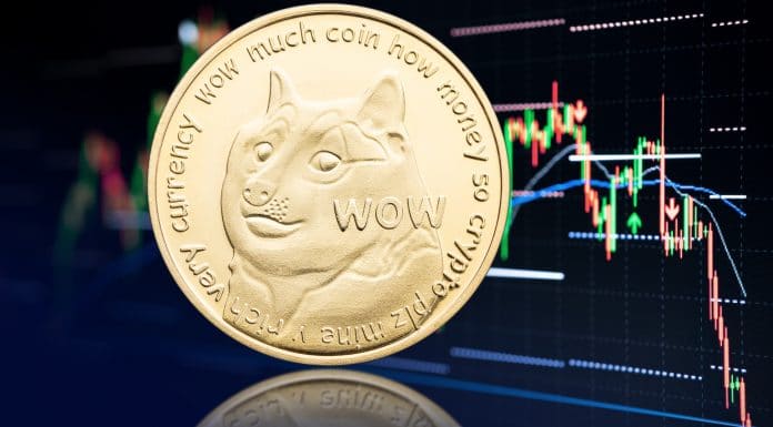 Preço da Dogecoin em queda no mercado