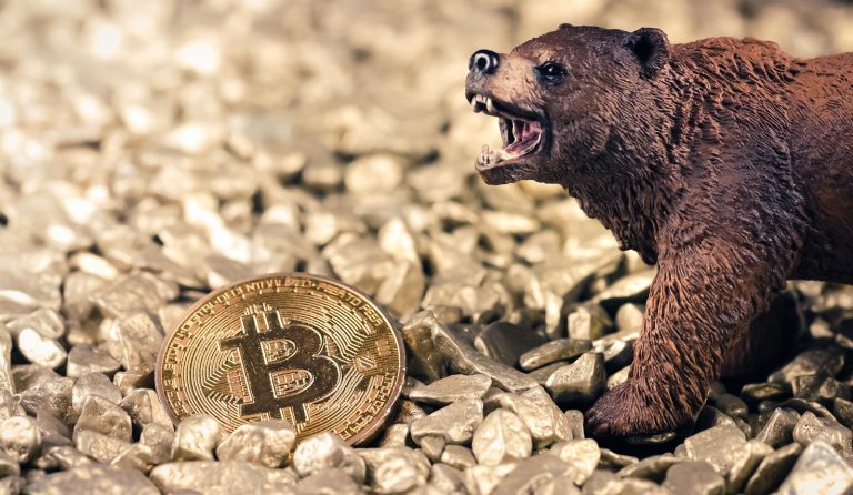 Bitcoin Bear