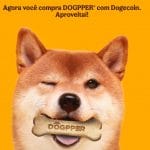 Burger King aceita Dogecoin como meio de pagamento por item canino