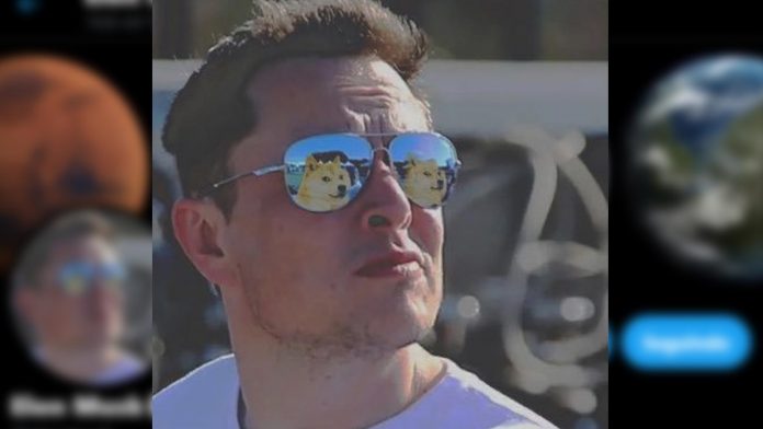 Elon Musk foto óculos Doge