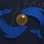 Movimentos de baleias em gráfico do Bitcoin