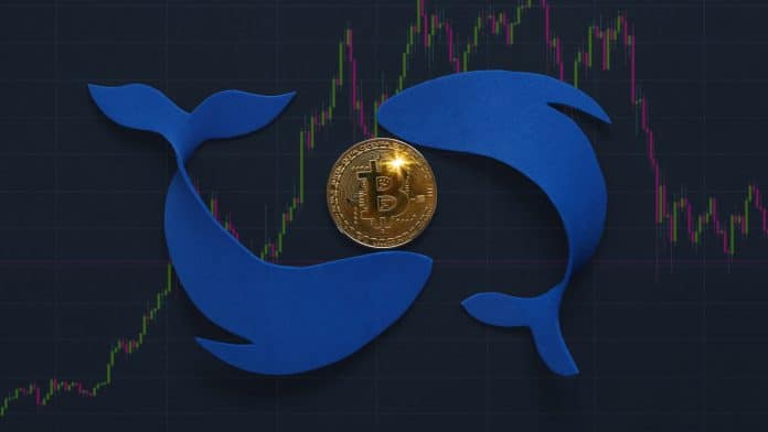 Movimentos de baleias em gráfico do Bitcoin