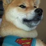 Shiba Inu de Superman Dogecoin brasileiro