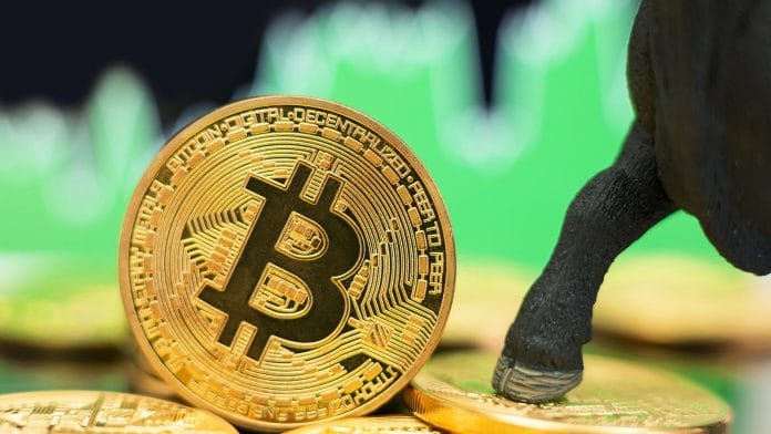 BTC Bear Market